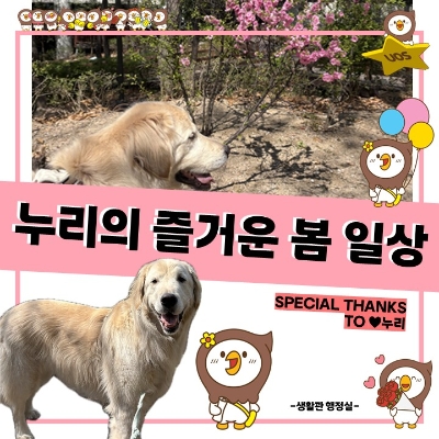 누리의 봄 뉴.jpg