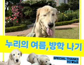 누리의여름